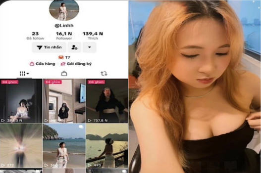 Làm tình Việt Tiktok Linh bím rậm lông